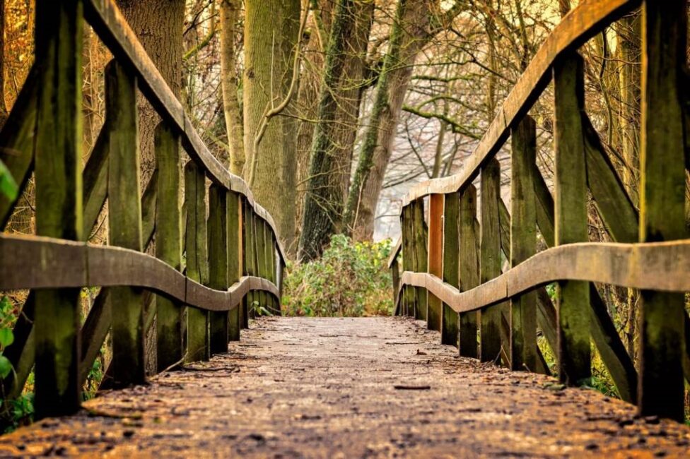 Płyty na stopnie schodów antresolowych