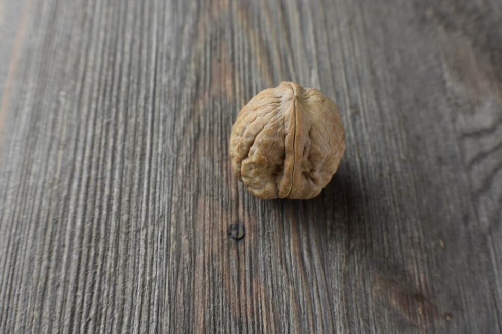 Tradycyjne metody rozłupywania orzechów włoskich